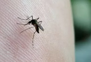 Declararán en emergencia 17 regiones para evitar expansión de Chikungunya