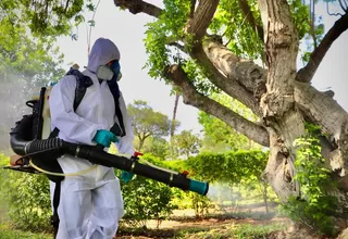 Dengue en Lima: San Isidro se convirtió en el distrito con menos casos de contagios en lo que va del año