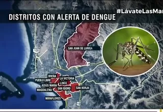 Dengue: Estos 14 distritos de Lima están bajo alerta epidemiológica