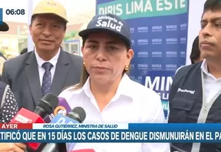 Dengue en Perú: Ministra Gutiérrez estimó que curva de contagios bajará en dos semanas