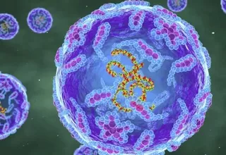 Detectaron poliovirus en aguas de Nueva York