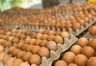 Director de la Asociación Peruana de Avicultura descarta riesgo en consumo de huevos y carne de pollo