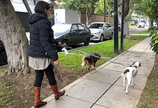 Domingos de inmovilización social: Personas podrán sacar a pasear a sus mascotas