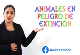 Dos minutos para aprender: Animales en peligros de extinción 