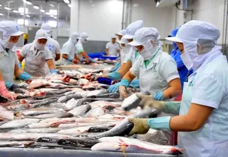 Proyectan que exportaciones pesqueras sumarán US$ 1,800 millones al cierre del 2019