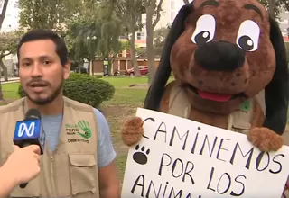 Fundación Huellas Perú organiza "Caminata Huellas 4K" para esterilizar a mascotas en zonas vulnerables