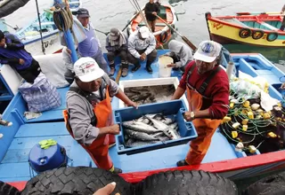 Gobierno anuncia bono de S/ 500 para más de 36 mil pescadores artesanales