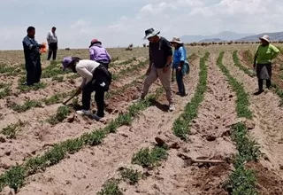 Gobierno aprobó decreto para apoyar a agricultores ante sequía por El Niño Global