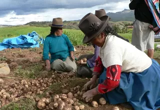 Gobierno busca empoderar la agricultura familiar en la Sierra
