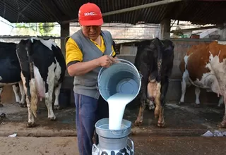 Gobierno lanzará fondo de reactivación para sector ganadero lechero de hasta S/80 millones