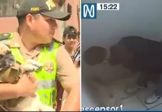 Hombre golpeó a su mascota y fue captado por cámaras de seguridad