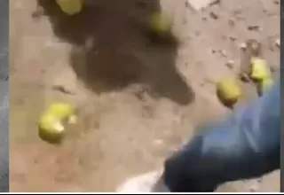 Senasa: Decomisan limones a comerciantes que se trasladaban en combi a Huánuco