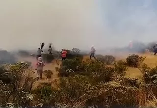 Huaral: dos fallecidos deja incendio forestal en la sierra de Huaral