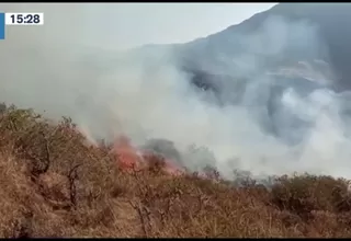 Huaral: Incendio forestal en la comunidad de Sumbilca