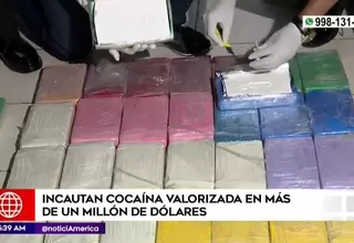 Incautan cocaína valorizada en más de un millón de dólares en Surco 