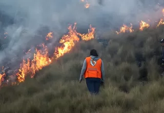 Indeci: Se registraron 591 incendios forestales en lo que va del año