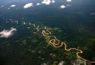 COP 20: Indígenas piden la protección de 20 millones de hectáreas de Amazonía