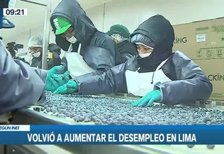 INEI: Desempleo volvió a aumentar en Lima