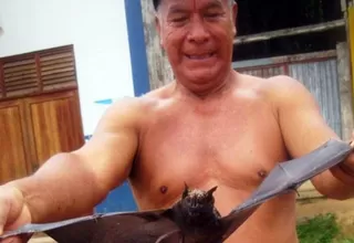 Loreto: Al menos nueve indígenas habrían fallecido por mordedura de murciélagos