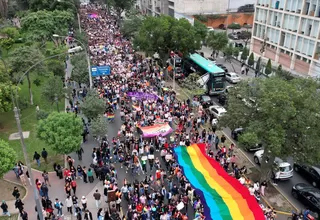 Marcha del Orgullo: Miles de personas recorrieron las calles del Centro de Lima