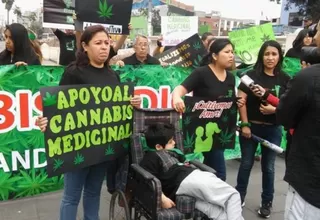 Marihuana medicinal: Comisión de Salud aprobó proyecto de ley