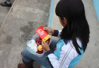Más de 100 mil niños en el Perú realizan trabajos domésticos