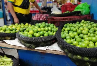 Midagri: Baja de precio del limón se debe principalmente a los efectos climáticos