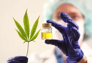 Minsa: Aprueba reglamento que regula uso medicinal y terapéutico del cannabis 