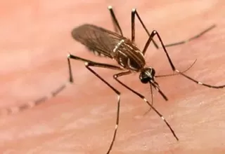 Capacitan a personal del Minsa para diagnosticar nuevos casos de fiebre Chikungunya