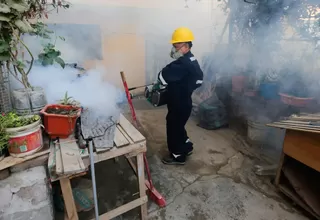 Minsa fumiga más de 700 viviendas de Lurigancho-Chosica para prevenir dengue
