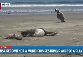 Minsa recomienda a municipios restringir acceso a playas