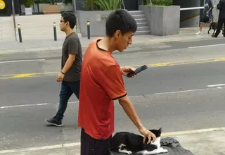 Miraflores: Hombre fue multado con más de S/ 4 mil por intentar abandonar a su gato en el parque Kennedy