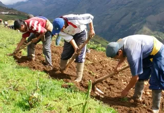 Mirtha Vásquez: "La segunda reforma agraria no implica la expropiación de tierras"