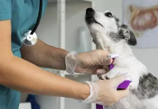 Municipalidad de Lima inauguró primera veterinaria solidaria en Comas