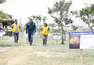 Municipalidad de Lima anuncia plantación de árboles que consuman poca agua