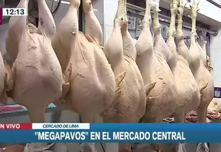 Navidad: Venta de pavos gigantes en el Mercado Central Ramón Castilla