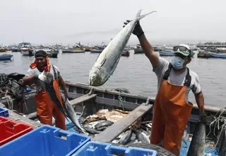 El Niño: Pescadores artesanales recibirán bono de S/700