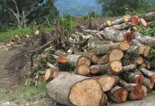 Norma permitirá decomisar o destruir maquinarias usadas en la tala ilegal