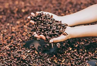 Normativa de la Unión Europea amenaza la exportación de café y cacao peruano 