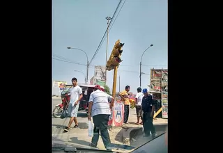 Los Olivos: Semáforo malogrado en cruce de avenidas Metropolitana y Naranjal