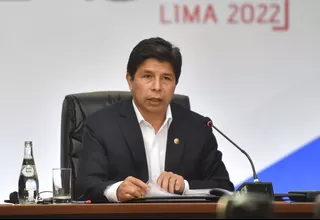 Pedro Castillo registra 29 denuncias constitucionales