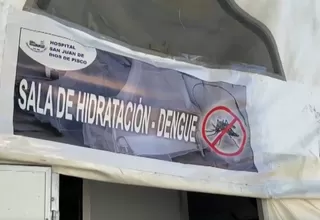 Pisco: Se reporta un incremento de casos de dengue