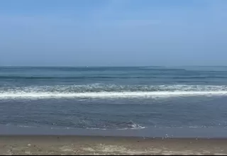 Pisco: Tres playas fueron declaradas no aptas ante riesgo de contaminación