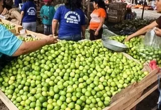 Precio del limón: Producto está por debajo de 10 soles en Mercado Mayorista de Lima