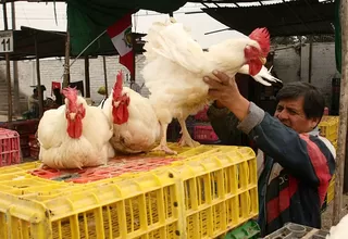 Precio del pollo se incrementó en octubre