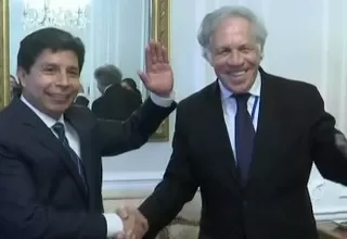 Presidente Castillo sostuvo reuniones con los secretarios generales de la ONU y OEA 