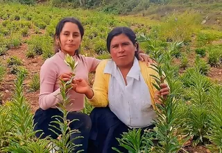 Pronabec: Ganadora de beca estudiará tecnología artificial para ayudar a los agricultores en Huánuco