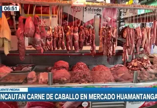 Puente Piedra: Decomisan carne de caballo en descomposición en Mercado Huamantanga