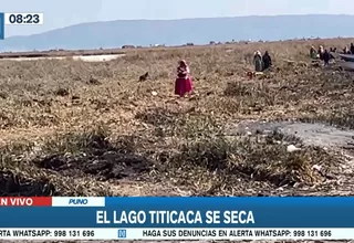 Puno: Descenso de nivel de agua en el Lago Titicaca continuará hasta diciembre 