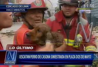 Rescatan a perro de casona siniestrada en Plaza Dos de Mayo